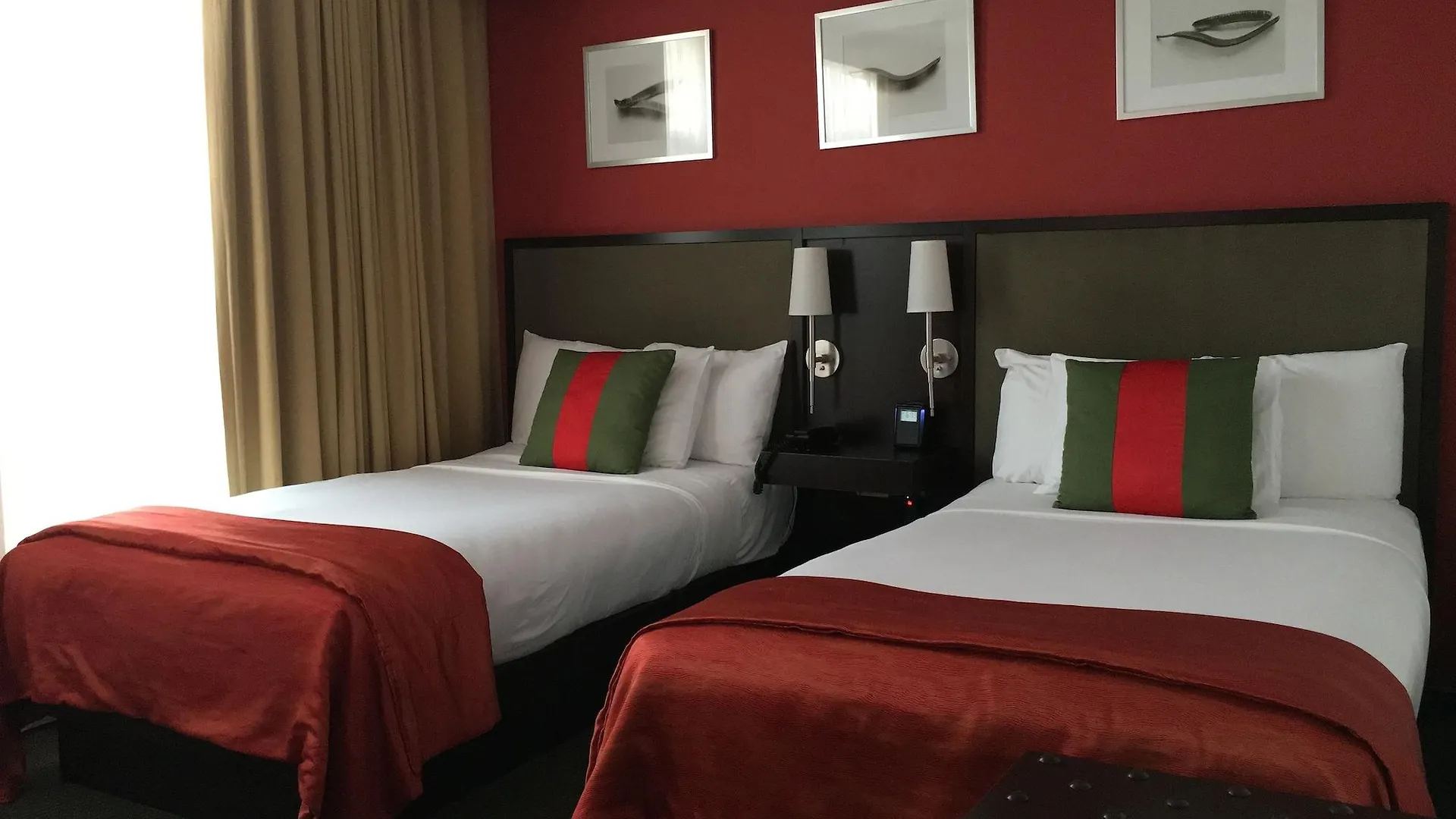 S Hotel Kingston Jamaica